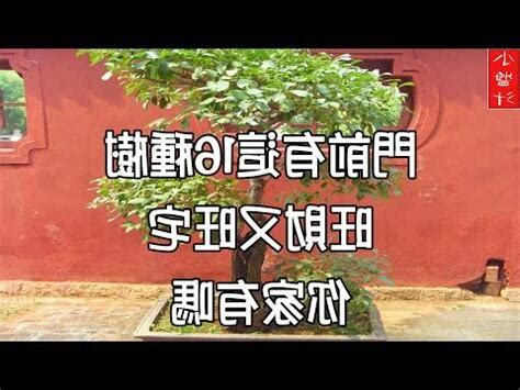 風水 桃|【風水 桃】桃樹的風水禁忌與吉兆：讓財運、健康、子孫運大爆。